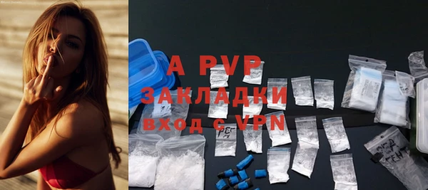 apvp Алзамай