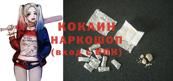 мет Алексин