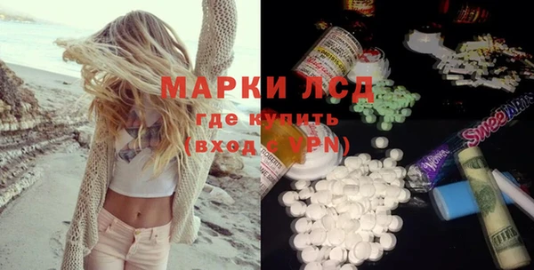 apvp Алзамай