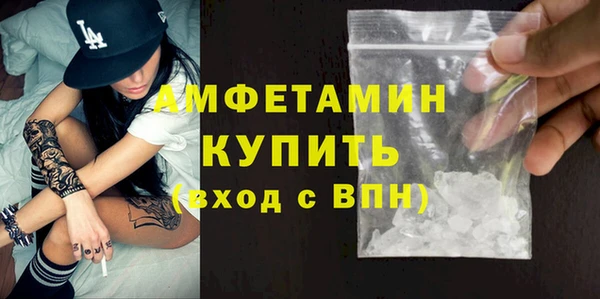 мет Алексин