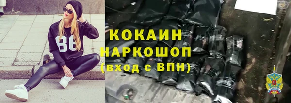 мет Алексин