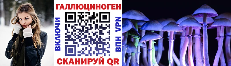 Псилоцибиновые грибы Cubensis  кракен как зайти  Саянск 